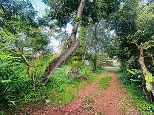 (AF448) 30 perches residential bare land for sale in maharagama