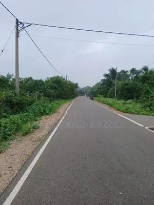 Main Road Frontage Land for Sale - Keerimalai