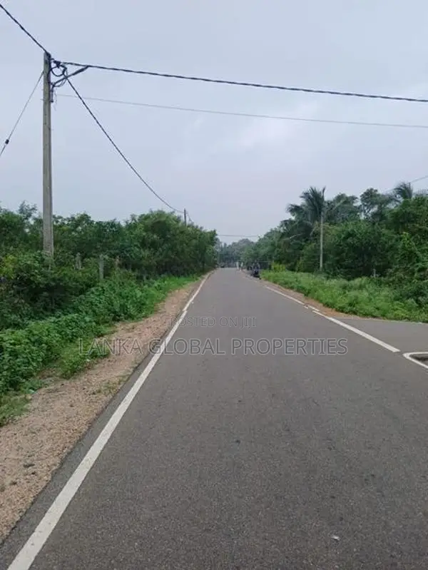 Main Road Frontage Land for Sale - Keerimalai