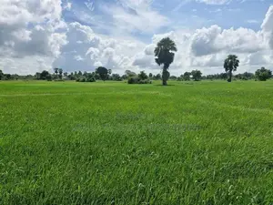 Agricultural Land for Sale - Nelukkulam