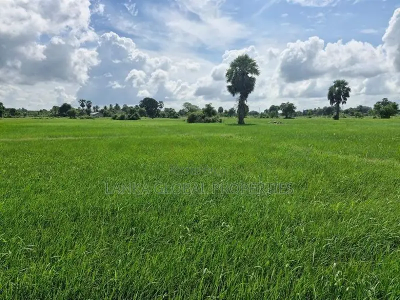 Agricultural Land for Sale - Nelukkulam
