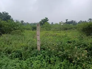 Main Road Frontage Land for Sale - Keerimalai