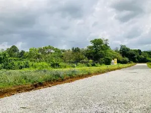 ඇහැලියගොඩ නගරයෙන් සුන්දර ඉඩමක්