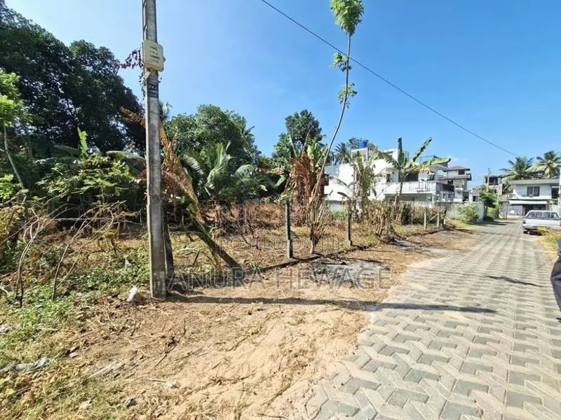 කොට්ටාව, පැලන්වත්ත පිහිටි ඉඩම් කැබලි 2ක් විකිණීමට ඇත (ID : PELN001S)