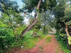 (AF448) 30 perches residential bare land for sale in maharagama