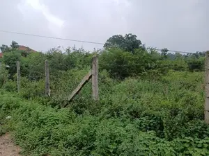 Main Road Frontage Land for Sale - Keerimalai
