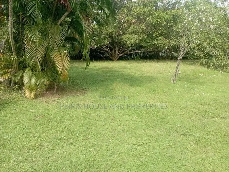 Land For Sale Dalupatha Negombo Gampaha