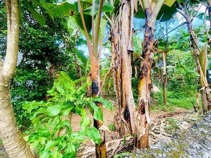 (AF459) 20 P Bare Land Sale At Uthuwankanda Road Thalawathugoda