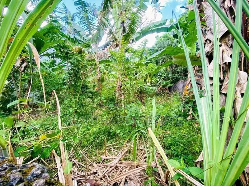 (AF459) 20 P Bare Land Sale At Uthuwankanda Road Thalawathugoda