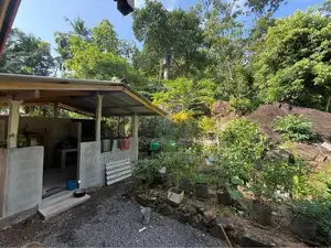 House Sale in Matugama - Agalawatta With 90 Perches Paddy Field View