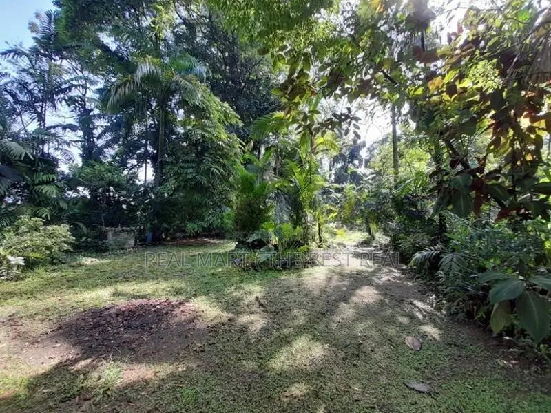 Avissawella : 101 Perch Highly Residential land for Sale