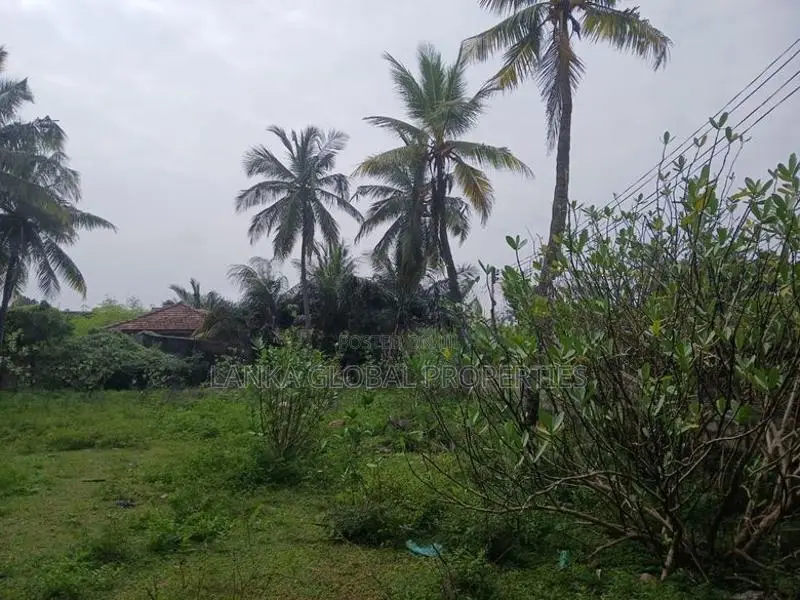 Residential Land for Sale in Kondavil