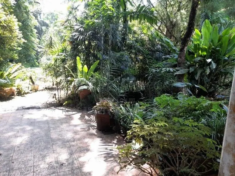 Avissawella :12 Rooms Walawwa (101 Pech ) for Sale