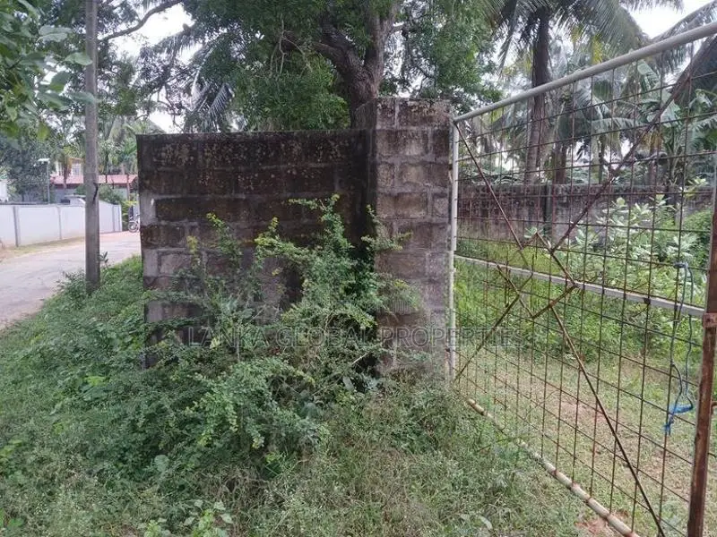 Residential Land for Sale in Kondavil