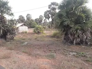 Land for Sale Jaffna