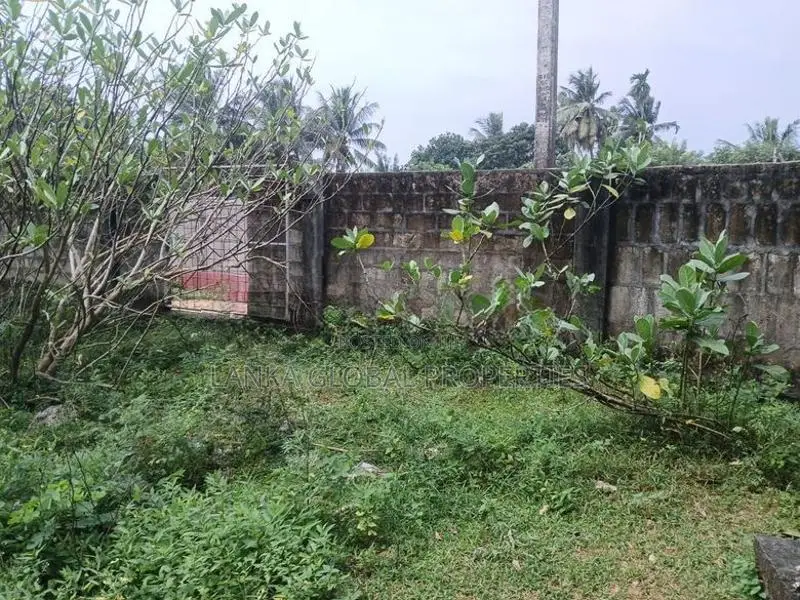 Residential Land for Sale in Kondavil