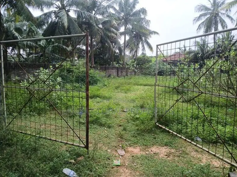 Residential Land for Sale in Kondavil