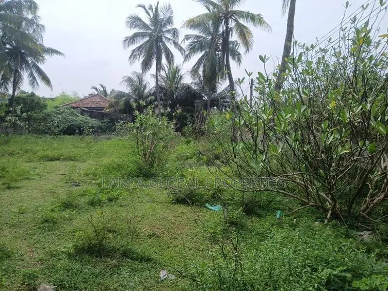 Residential Land for Sale in Kondavil