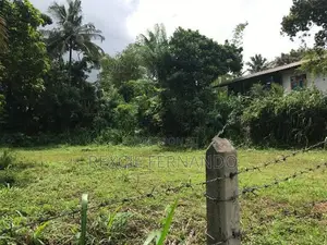 bare land