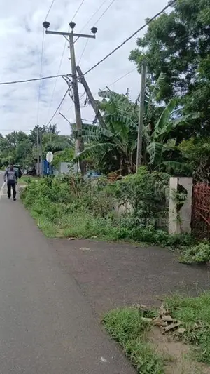 Land with House for Sale in Tellipalai