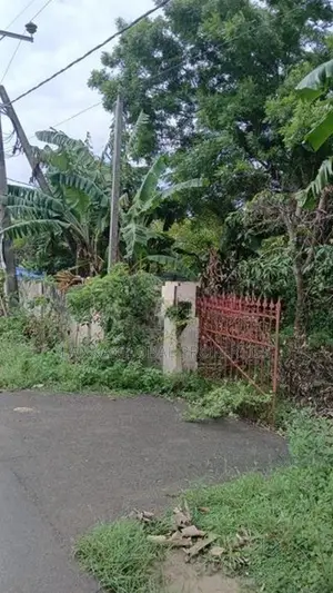 Land with House for Sale in Tellipalai