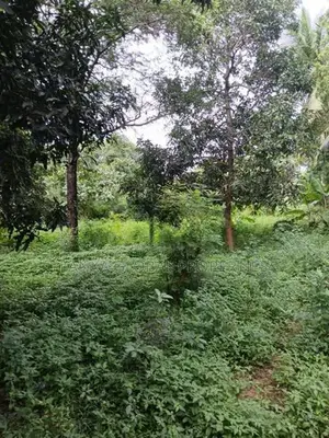 Land with House for Sale in Tellipalai