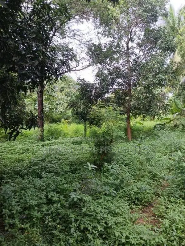 Land with House for Sale in Tellipalai