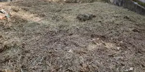 New 40P Land For Sale in Kandy Lake Round