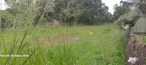 Pannipitiya Off Borella Rd 56 Perches Square Bare Land For Sale