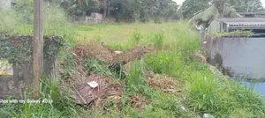 Pannipitiya Off Borella Rd 56 Perches Square Bare Land For Sale