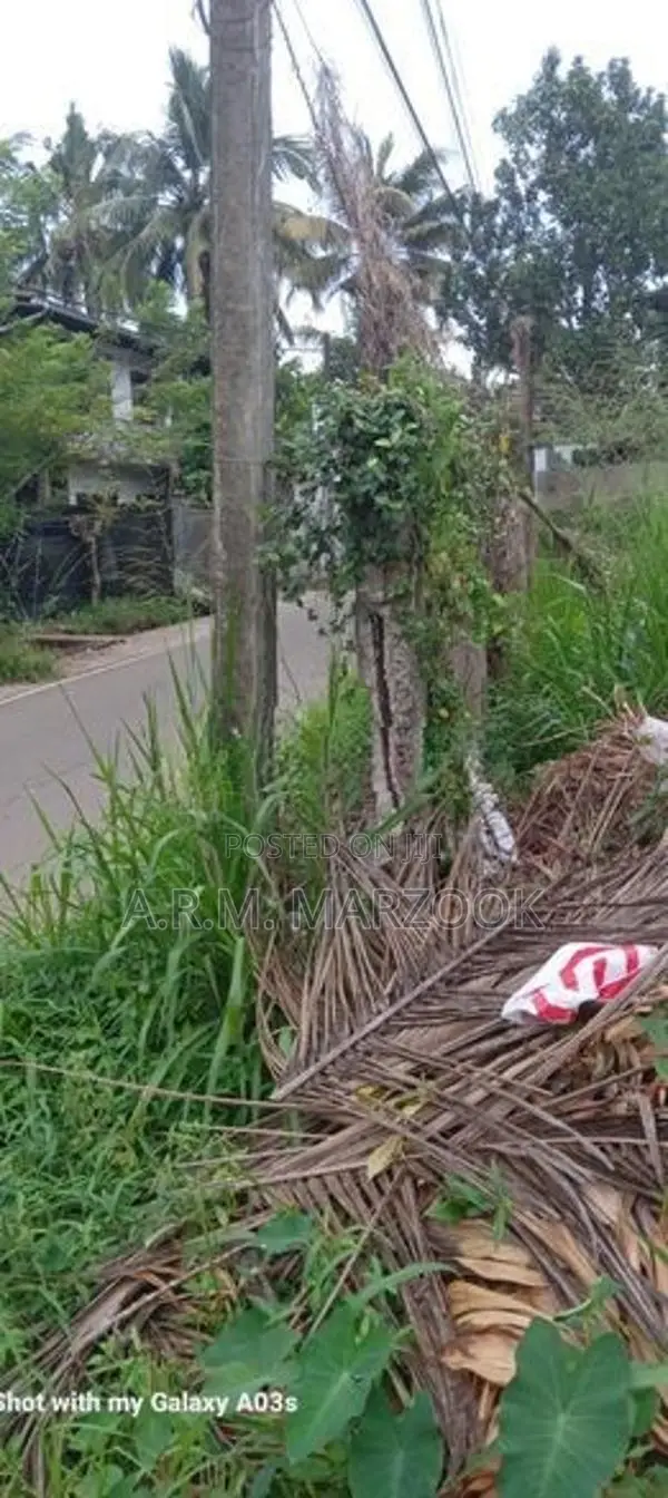 Pannipitiya Off Borella Rd 56 Perches Square Bare Land For Sale