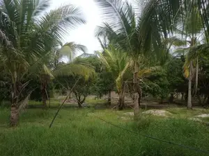 HHL1123 - Land for Sale in Chathurukondan