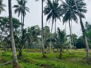 Estate for Sale in Gampaha