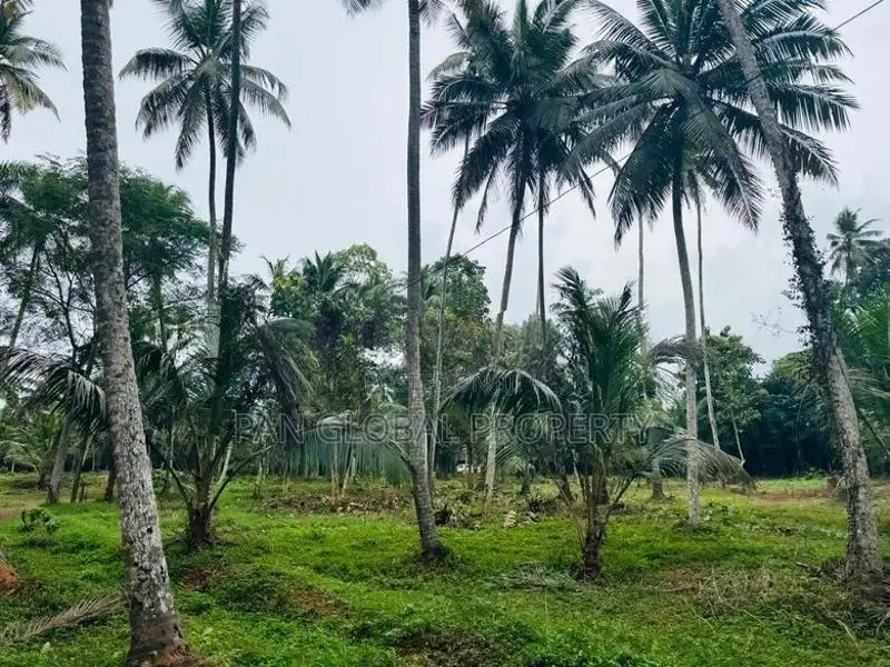 Estate for Sale in Gampaha