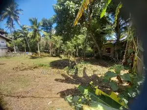 100 Perch Land in Katunayaka Seeduwa for Sale