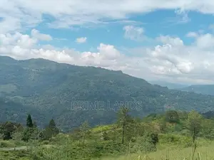 Land for Sale Pundaluoya