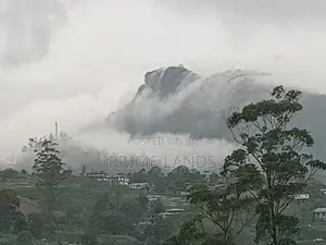 Land for Sale Nuwaraeliya