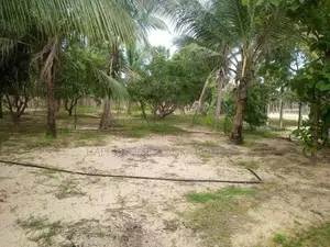 HHL1123 - Land for Sale in Chathurukondan