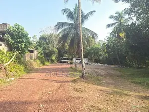 මාලබේ, තලාහේන පිහිටි ඉඩමක් විකිණීමට ඇත. (ID : MALB010S)