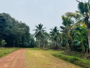 Estate for Sale in Gampaha
