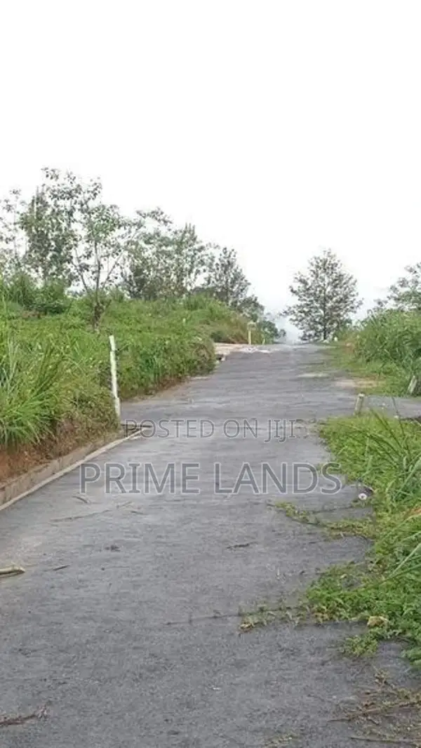 Land for Sale Pundaluoya