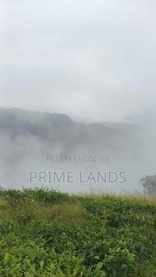 Land for Sale Nuwara Eliya Road