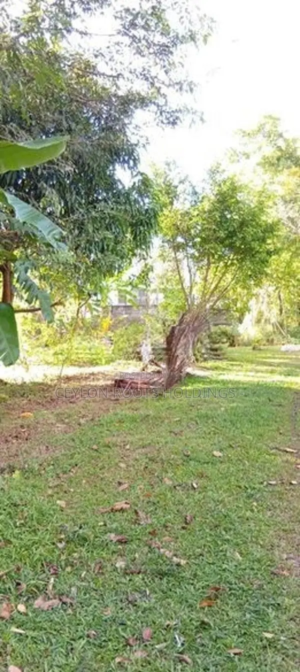 Very Valuable Land For Sale, Second Block From the Colombo Main Rd,