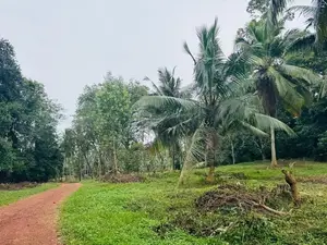 Estate for Sale in Gampaha