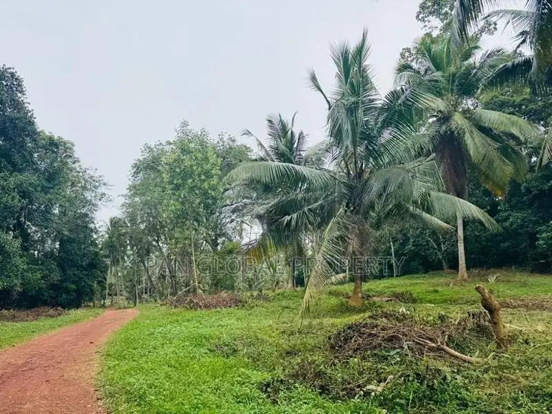 Estate for Sale in Gampaha