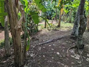 Land for sale in ragama