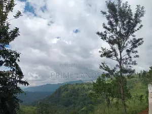 Land for Sale Nuwara Eliya