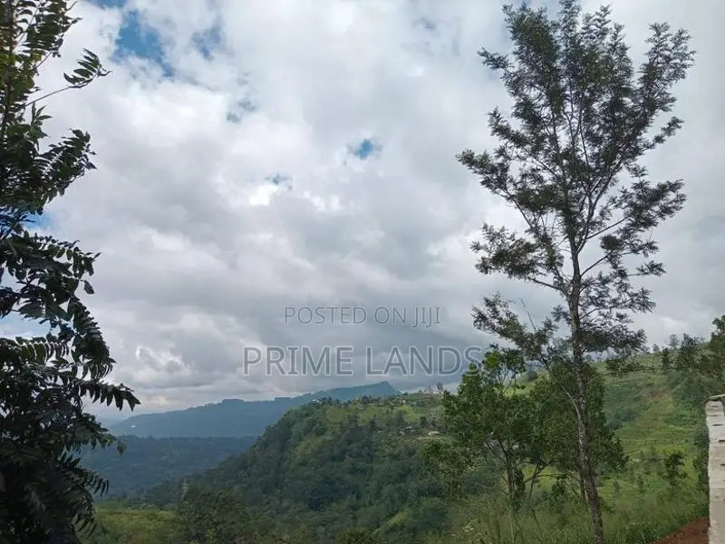 Land for Sale Nuwara Eliya
