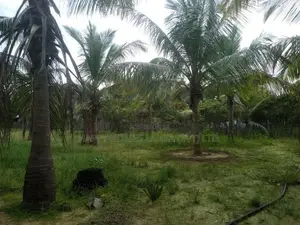 HHL1123 - Land for Sale in Chathurukondan
