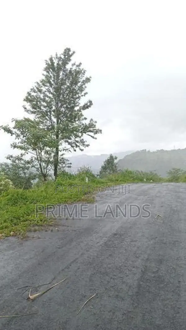 Land for Sale in Thalawakalle